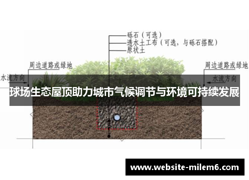 球场生态屋顶助力城市气候调节与环境可持续发展