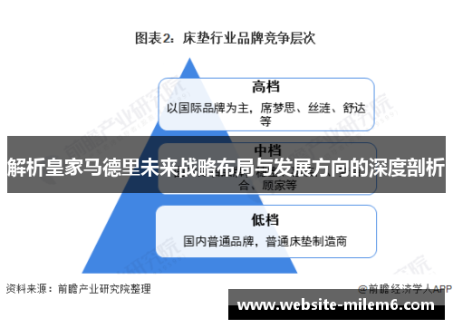 解析皇家马德里未来战略布局与发展方向的深度剖析