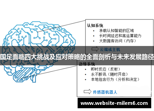 国足面临四大挑战及应对策略的全面剖析与未来发展路径