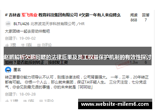 赵鹏解析欠薪问题的法律后果及员工权益保护机制的有效性探讨
