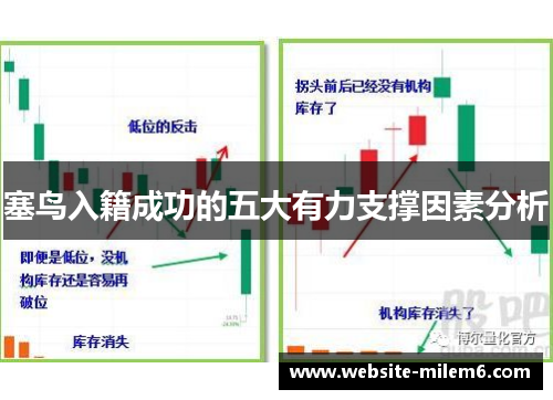 塞鸟入籍成功的五大有力支撑因素分析