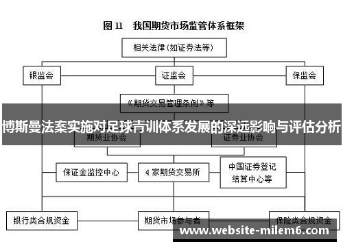 博斯曼法案实施对足球青训体系发展的深远影响与评估分析