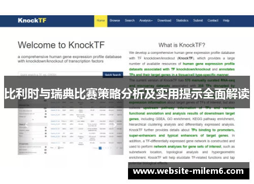 比利时与瑞典比赛策略分析及实用提示全面解读