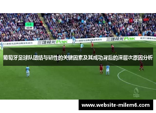 葡萄牙足球队团结与韧性的关键因素及其成功背后的深层次原因分析