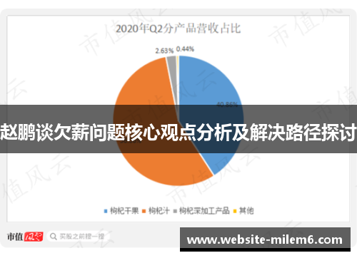 赵鹏谈欠薪问题核心观点分析及解决路径探讨 赵鹏谈欠薪问题核心观点分析及解决路径探讨