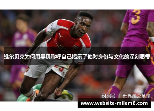 维尔贝克为何用黑贝称呼自己揭示了他对身份与文化的深刻思考