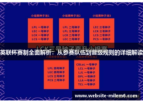 英联杯赛制全面解析：从参赛队伍到晋级规则的详细解读
