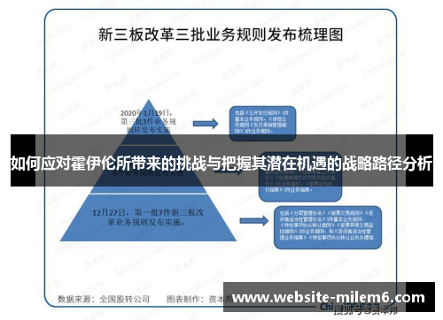 如何应对霍伊伦所带来的挑战与把握其潜在机遇的战略路径分析
