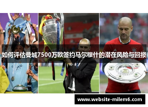 如何评估曼城7500万欧签约马尔穆什的潜在风险与回报